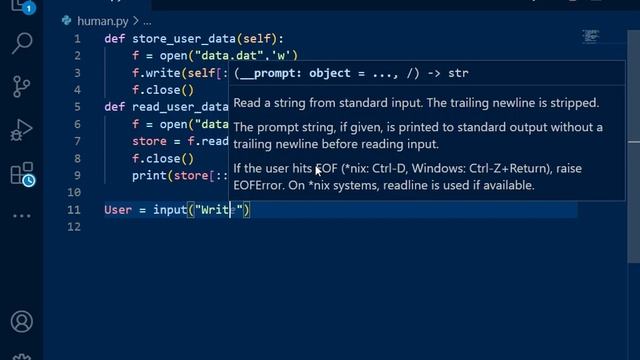 How To Store User Data in File | Python смотреть онлайн
