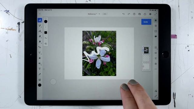 How to Use Reference Images in Adobe Fresco смотреть онлайн
