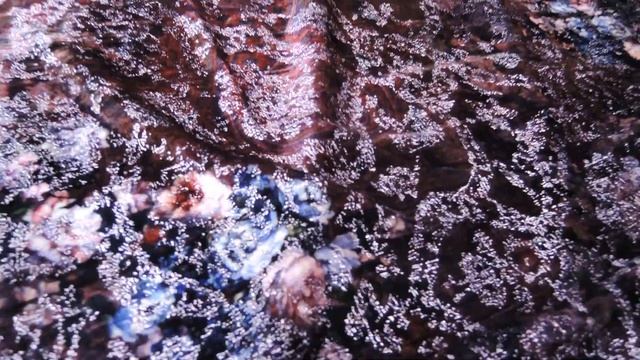 Новинка бархат с цветочным рисунком и винтажным эффектом кракелюра смотреть онлайн