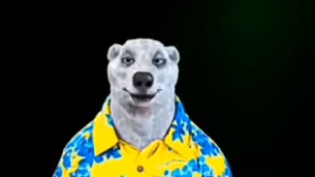 Ходилки Бродилки обратился к Илону Маску?!🙃🙀😍 смотреть онлайн