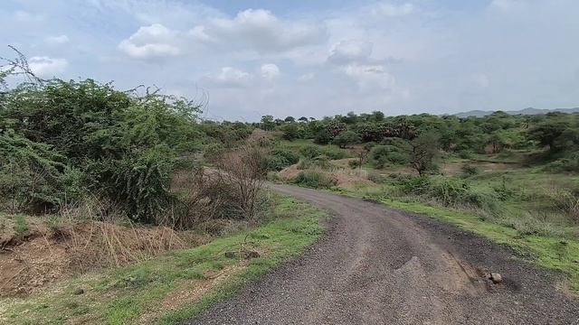 OnePlus Nord 3 Camera Test смотреть онлайн