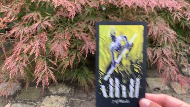 First edition second printing Lubanko tarot silent meditative flip through смотреть онлайн