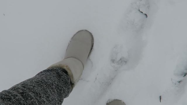 VLOG: Дача зимой /Зимние забавы / Катаемся с горки Лепим снеговика 4.11.2016 смотреть онлайн