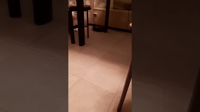 Убрал всю кошачью шерсть! Обзор работы вакуумного робота-пылесоса Kitfort KT-533 смотреть онлайн