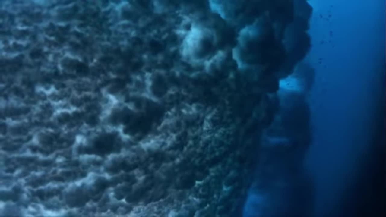 test смотреть онлайн