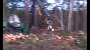 Харвестер амкодор