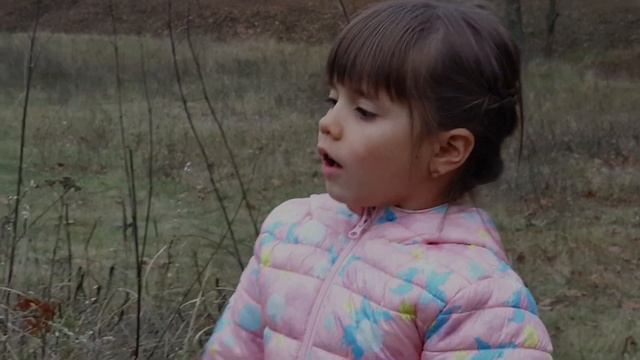 Чем отличается осень от лета? смотреть онлайн