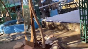 Узбекистан! Чарвак! Знаменитая бочка! Это надо видеть! 3 часть