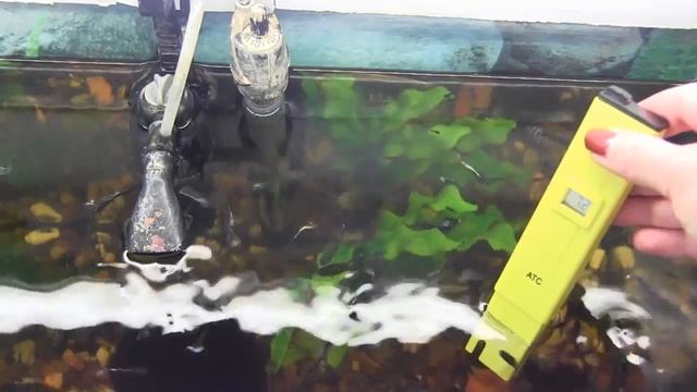 КАК проверить КАЧЕСТВО ВОДЫ/Эксперименты с водой. смотреть онлайн