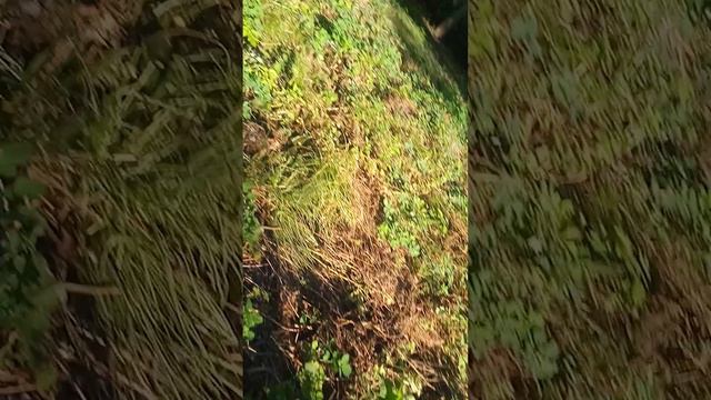 👮року на відстані близько км розташоване село належало десятин землі смотреть онлайн