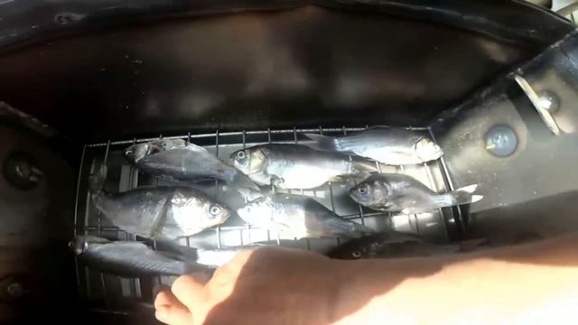 Уборка и стильный дом