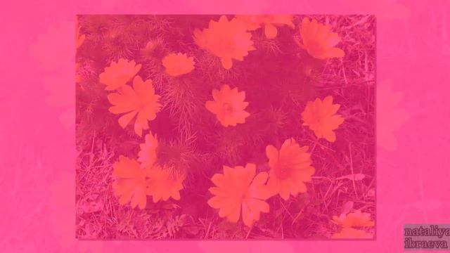 Международный День земли - 22 апреля. Презентация #деньземли смотреть онлайн