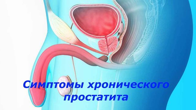 ПРОСТАТИТ У МУЖЧИН. МЕТОДЫ ЛЕЧЕНИЯ ПРИ ПРОСТАТИТЕ. ЗДОРОВАЯ ЖИЗНЬ.