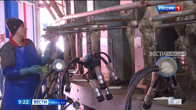 Хуҫалӑхсенче пулса курӗҫ, ӗне сума та вӗрентӗҫ смотреть онлайн