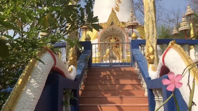 Let’s me be a tour guide-Khao Plong Temple смотреть онлайн