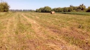 выгодно ли заготавливать сено самому) сколько стоит заготовка сена)) купить или косить