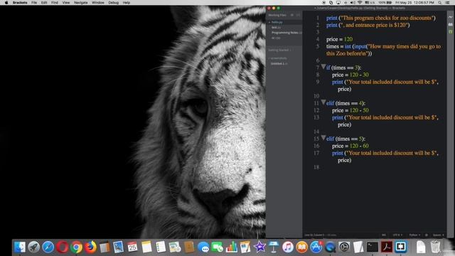 3 Testing Multiple elif Expressions смотреть онлайн
