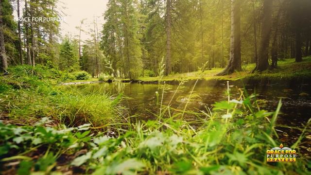 Start Your Day With This Every Morning! Prayer Changes Your Day! смотреть онлайн