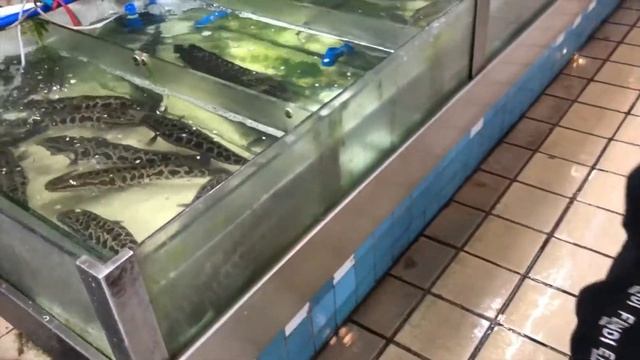Китайский продуктовый рынок. Часть 2. Русские в Китае едят сырую рыбу не отходя от кассы. смотреть онлайн