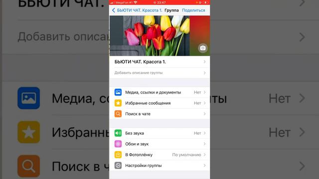 Как создать Бьюти чат смотреть онлайн