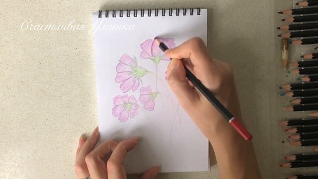КАК НАРИСОВАТЬ ЦВЕТЫ КАРАНДАШАМИ смотреть онлайн