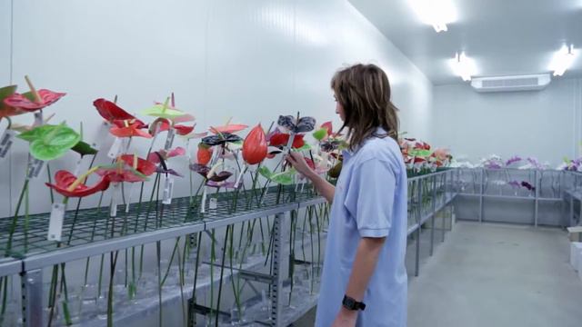 Anthura moodfilm ENG смотреть онлайн