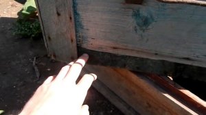 Простой улей Дадан