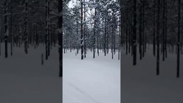 Татьянин день смотреть онлайн