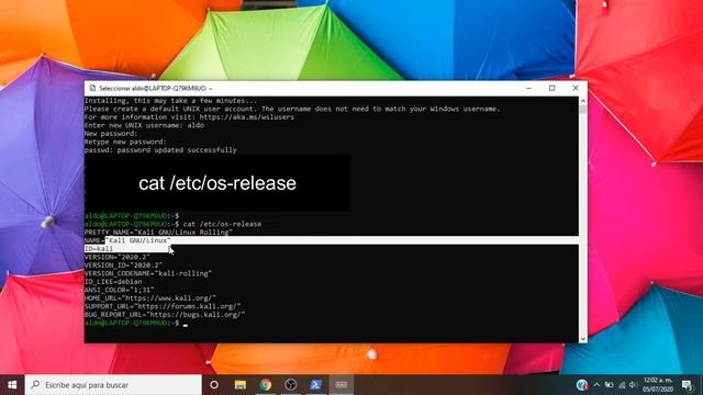 Instalación de Kali con entorno Gráfico con WSL 2 (windows subsytem for linux) | En español смотреть онлайн