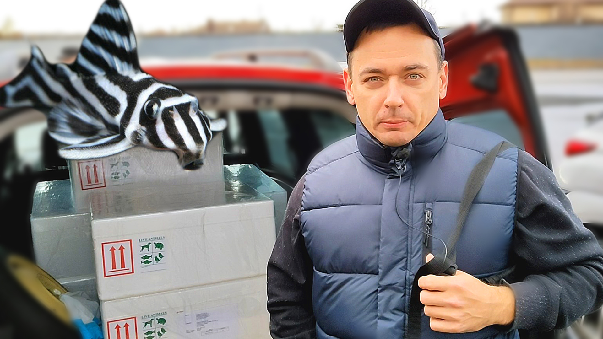 Отправляем РЫБОК в АМЕРИКУ! смотреть онлайн