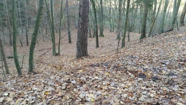 Świąteczne Enduro 2020 ? TM RACING 125 ? Pomorskie Enduro  ?