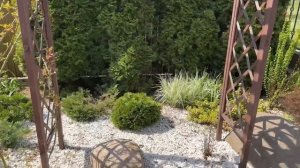 Показываю кусочки своего сада. ЧТО ПОЛУЧИЛОСЬ, А ЧТО НЕ ОЧЕНЬ. Где купить хорошие саженцы. ЭКОПЛАНТ