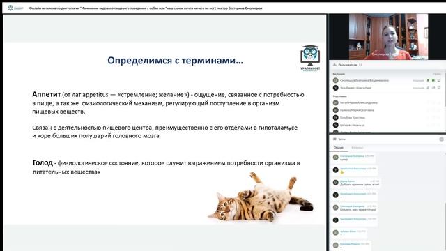 Фрагмент интенсива “Питание пациентов при отказе от корма”, лектор Екатерина Смолицкая смотреть онлайн