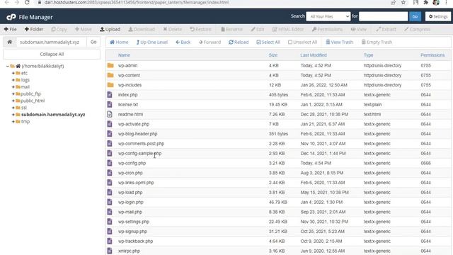 How to fix error establishing database connection in WordPress | High Hosters смотреть онлайн