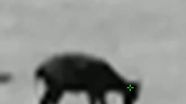 TERMOWIZOR HIKVISION LYNX C06 - IRC ŁUKASZ CHARKIEWICZ смотреть онлайн