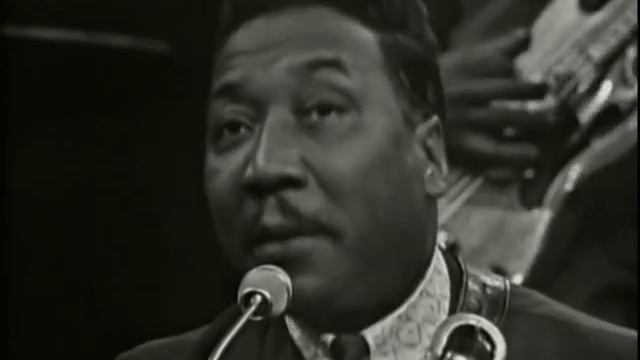 Muddy Waters . I've Got My Mojo Working смотреть онлайн