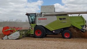 Уборка 2024 Краснодарский край Павловский район