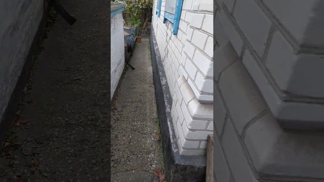 Восстановление отмостки (2020 г.)