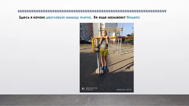 Презентация по физкультуре смотреть онлайн