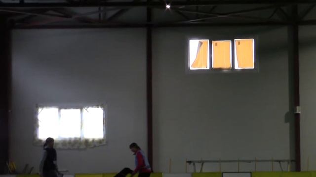 Suup Regina прямошерстный ретривер Bersifjor Vicenza обиденс 3 Кубок Санкт-Петербурга 10.02.18 смотреть онлайн