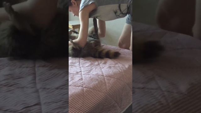 Blind Girl Plays With Cat ? смотреть онлайн