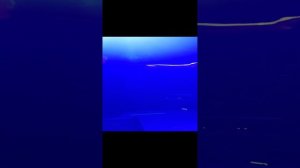 Chemodan - А-Я ( Ярославль) LIVE!