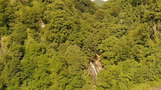 Грузия смотреть онлайн