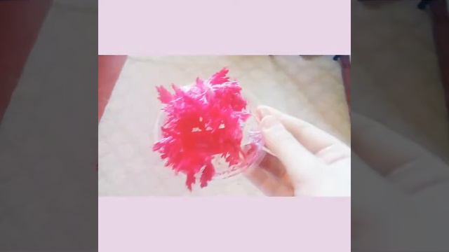 Что мне подарили на моё день рождения//♥ смотреть онлайн
