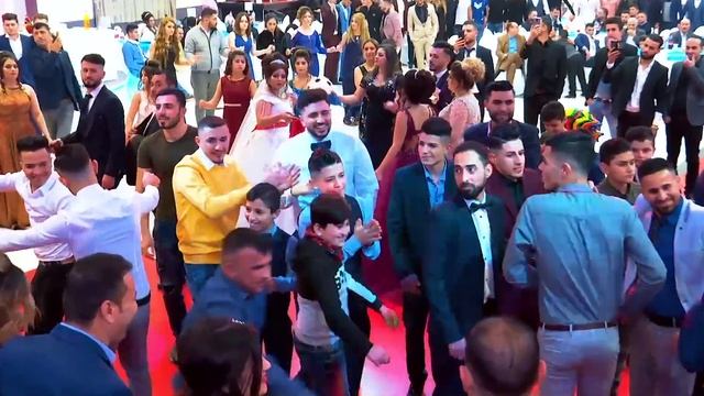Sabah & Ferida | Wedding | Haval Tarek Shexani  | Shexani Part 7 | By Cavo Media