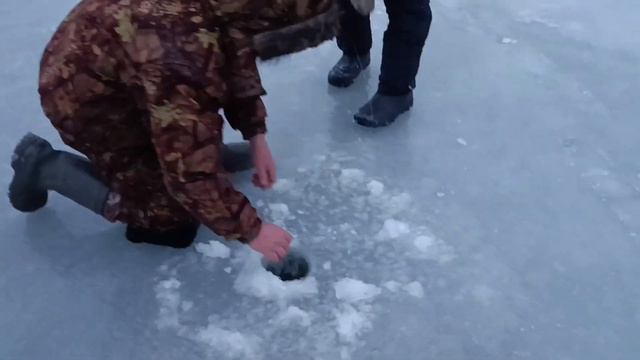 Рыбалка на жерлицы. Белавка 30.11.2023 смотреть онлайн