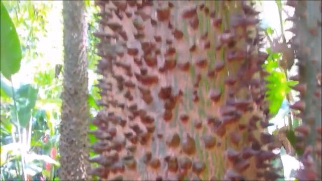 США. Что такое ZIP LANE ? ГДЕ ОНА НАХОДИТСЯ ? смотреть онлайн