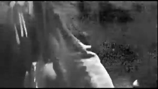 john Maus смотреть онлайн