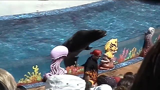 SeaWorld Apr 01 2005 смотреть онлайн