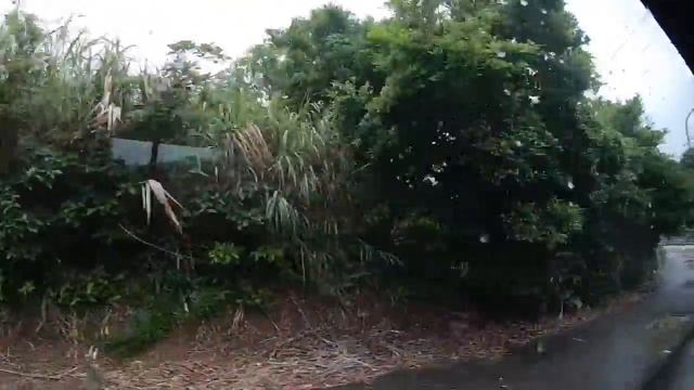 #Окинава Океанариум Тюрауми самостоятельная поездка #Okinawa Churaumi Aquarium, #日本 смотреть онлайн